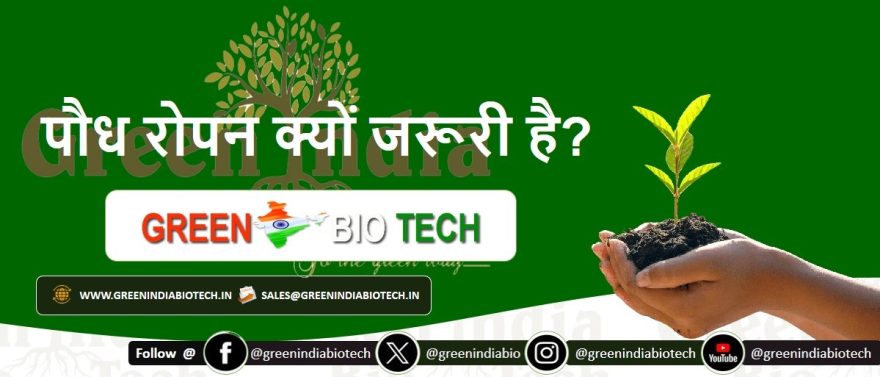 पौध रोपन क्यों जरूरी है?