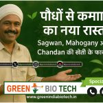Plant Company & Nursery