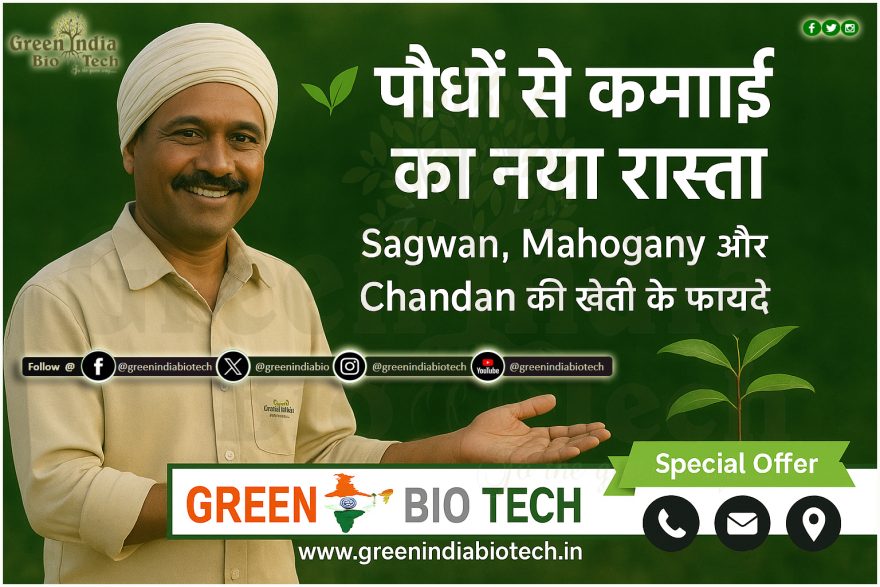 Plant Company & Nursery