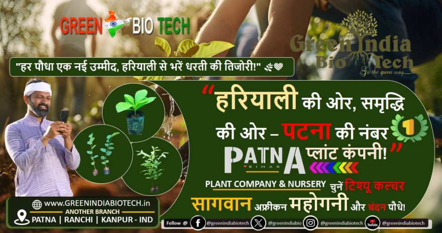पटना, बिहार की टॉप 10 प्लांट कंपनियाँ | Top 10 Plant Company & Nursery PATNA Bihar Plant Company in Patna