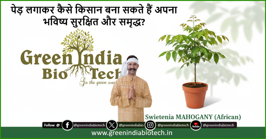 पेड़ लगाकर कैसे किसान बना सकते हैं अपना भविष्य सुरक्षित और समृद्ध?