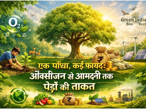 एक पौधा, कई फायदे: ऑक्सीजन से आमदनी तक पेड़ों की ताकत plant