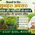 सागवान और महोगनी की खेती से भविष्य बनाएं