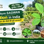 Sagwan Plant call 7250210515